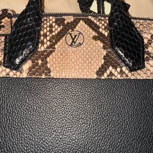 Louis Vuitton Python Trimmed City Steamer